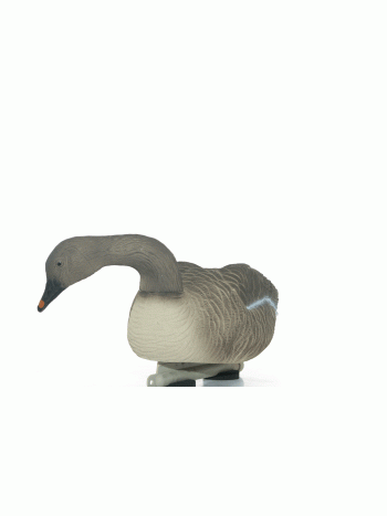 Чучело плавающего Гуся Гуменник Floater Bean Goose (6шт)