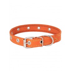 Ошейник для собаки, кожаный, усиленный для собак малых пород, ширина 20 мм, длина 42 см, цвет Оранжевый