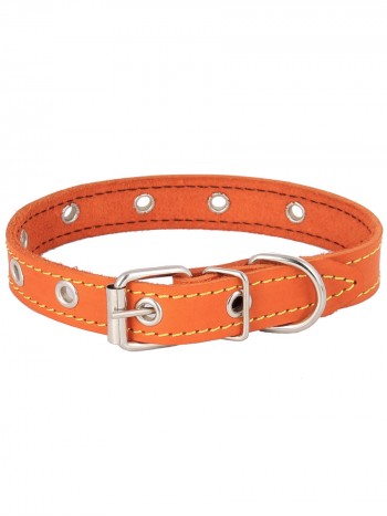 Ошейник для собаки, кожаный, усиленный для собак малых пород, ширина 20 мм, длина 42 см, цвет Оранжевый