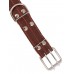 Ошейник для собаки 2-х слойный кожаный, усиленный для крупной собаки, ширина 45 мм, длина 77 см, цвет Коричневый